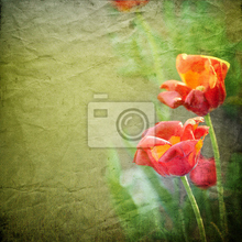 Фотообои с тюльпанами на винтажном фоне