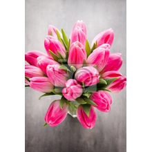 Вертикальные фотообои - Розовые тюльпаны