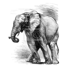 Арт-обои - Рисованный слон