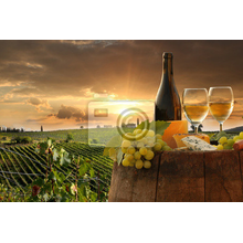 Фотообои с тосканскими виноградниками