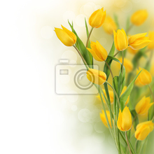 Фотообои с желтыми яркими тюльпанами