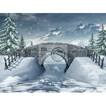 Фотообои - Мост над рекой зимой