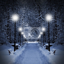 Фотообои с зимней аллеей в парке