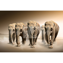 Фотообои со слонами в стиле ретро