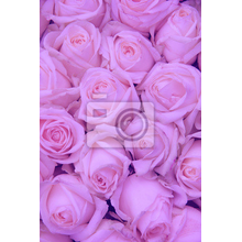 Фотообои на стену с букетом роз