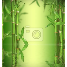 Фотообои - Натюрморт с побегами бамбука