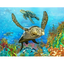 Фотообои - Черепахи и коралловые рифы