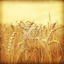 Фотообои на стену - Пшеница в стиле ретро
