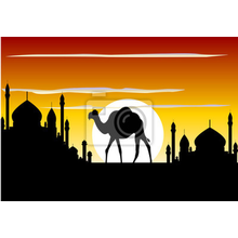 Фотообои - Верблюд на закате на фоне мечетей