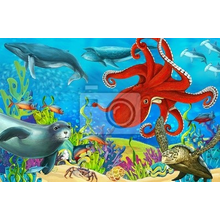 Фотообои - Морские животные под водой
