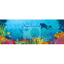 Фотообои - Цветной рисунок коралловых рифов