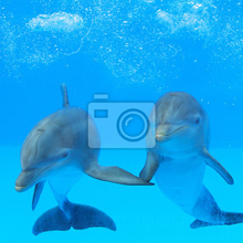 Фотообои - Дельфины под водой
