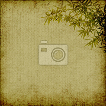 Фотообои - Рисунок бамбука на старой бумаге
