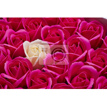 Фотообои - Белая роза на фоне роз