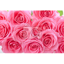 Фотообои - Букет розовых роз