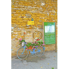 Фотообои -Велосипед в цветах у стены