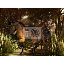Фотообои - Фантастические лошади