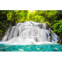 Фотообои на стену с водопадом в тропических джунглях