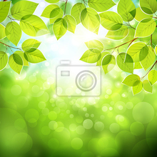 Фотообои с зелеными листьями