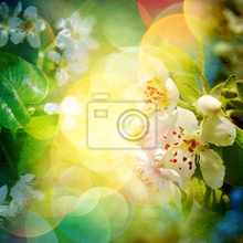 Фотообои - Яркое цветение