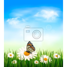 Фотообои - Природный фон с цветами,травой и бабочками
