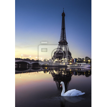 Фотообои - Эйфелева башня и лебедь
