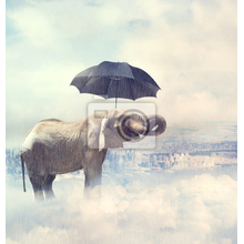 Фотообои - Слон под зонтом