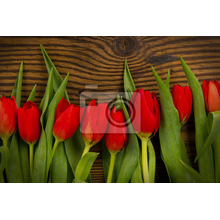 Фотообои - Красные тюльпаны на фоне дерева