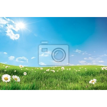 Фотообои - Пейзаж с цветами