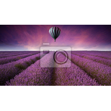 Фотообои - Воздушный шар над лавандовым полем