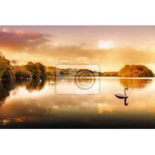 Фотообои - Лебеди на закате