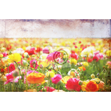 Фотообои - Винтажные цветы