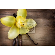 Фотообои на стену - Орхидея и ваниль