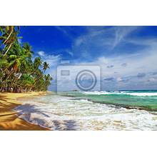 Фотообои - Цейлонский морской пейзаж
