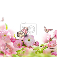 Фотообои - Бабочка на цветущей ветви