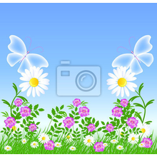 Фотообои - Рисунок ромашек с бабочками