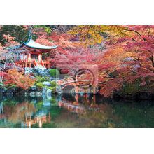 Фотообои - Сад с японской пагодой