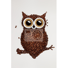 Креативные фотообои - Кофейная сова