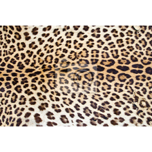 Фотообои с текстурой леопарда