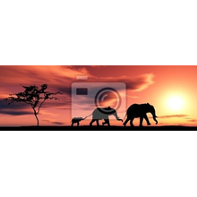 Фотообои - Семья слонов на закате