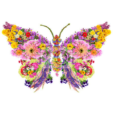 Арт-обои - Цветочная бабочка
