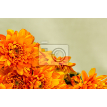 Фотообои - Оранжевые цветы
