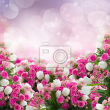 Фотообои - Розы и тюльпаны
