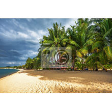 Фотообои - Экзотический пляж с пальмами