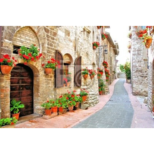 Фотообои - Улочка в цветах в Италии