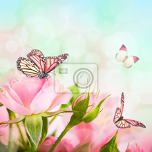 Фотообои на стену - Красивые розы с бабочками