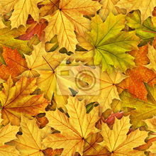 Фотообои - Желтые листья