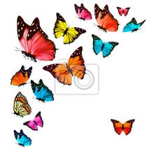 Арт-обои с яркими бабочками