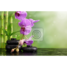 Фотообои на стену - Орхидея и камни