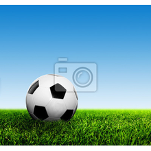Фотообои с футбольным мячом
